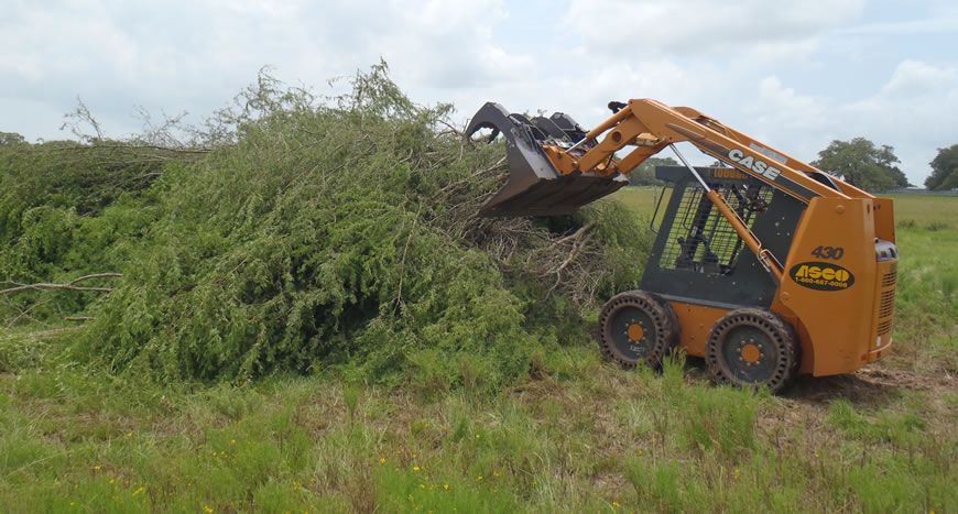 We offer fast and affordable Brush Clearing services.