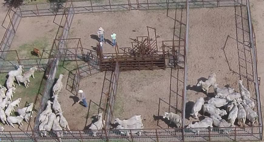 We custom build corrals and cattle pens.