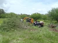 Brush Clearing