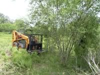 Brush Clearing