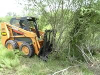 Brush Clearing