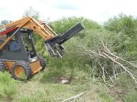 Brush Clearing