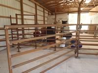 Cattle Pens