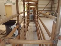 Cattle Pens