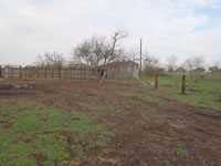 Cattle Pens