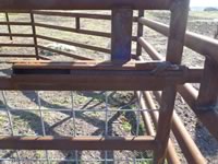 Cattle Pens