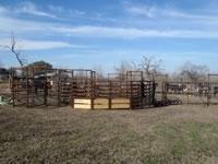 Cattle Pens