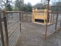 Cattle Pens