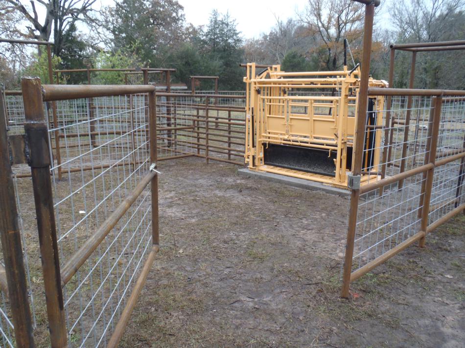 LongBranch Ranch and Ag Services | Texas : Cattle Pens