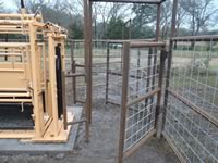 Cattle Pens