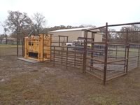Cattle Pens
