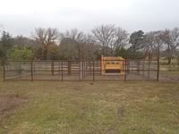 Cattle Pens