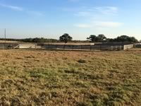 Cattle Pens