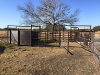 Cattle Pens