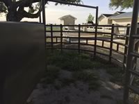 Cattle Pens