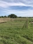 Cattle Pens
