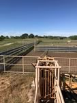 Cattle Pens