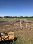Cattle Pens