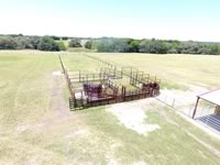 Cattle Pens