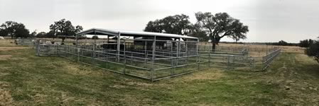 Cattle Pens