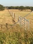Fence